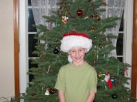 200312 - Christmas Tree