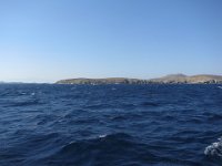 IMG 3531